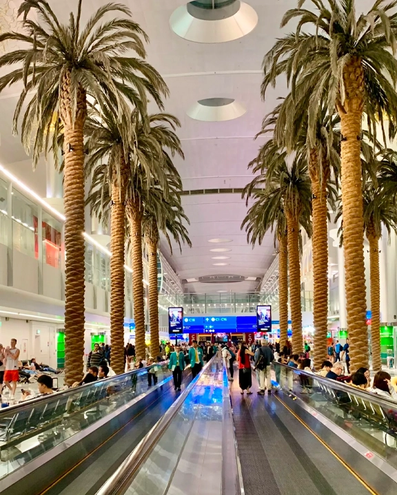 Travel & Connectivity